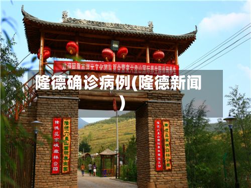 隆德确诊病例(隆德新闻)-第2张图片