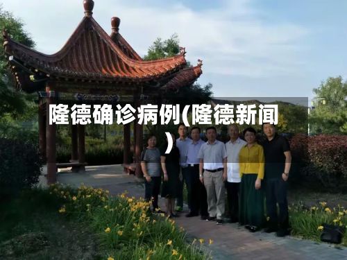 隆德确诊病例(隆德新闻)-第3张图片