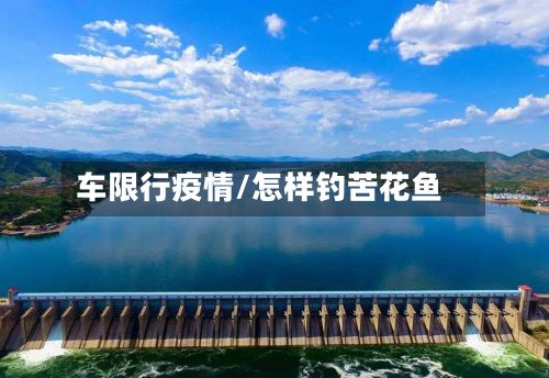 车限行疫情/怎样钓苦花鱼-第2张图片