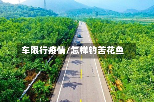 车限行疫情/怎样钓苦花鱼-第3张图片