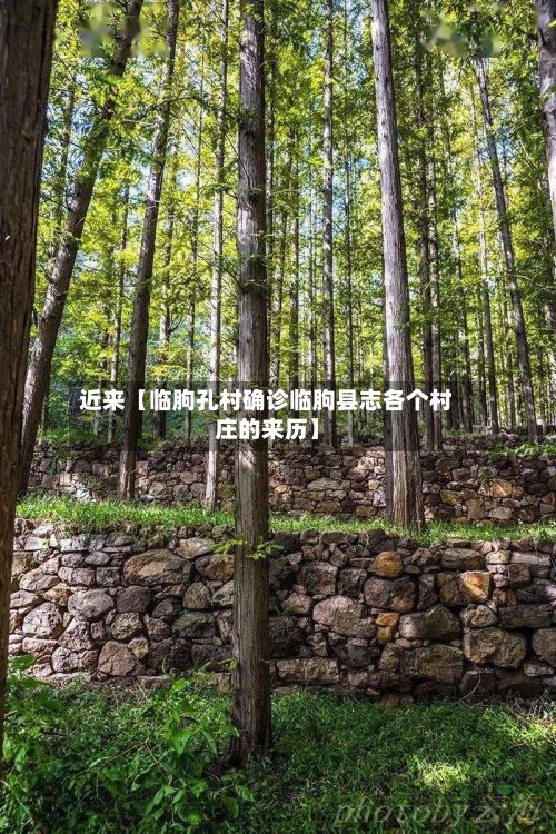 近来【临朐孔村确诊临朐县志各个村庄的来历】