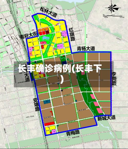 长丰确诊病例(长丰下)-第2张图片