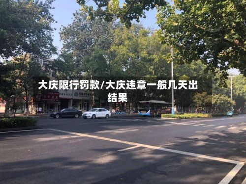 大庆限行罚款/大庆违章一般几天出结果