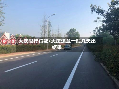 大庆限行罚款/大庆违章一般几天出结果-第3张图片
