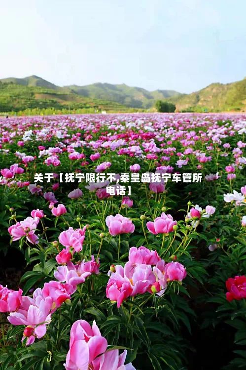 关于【抚宁限行不,秦皇岛抚宁车管所电话】