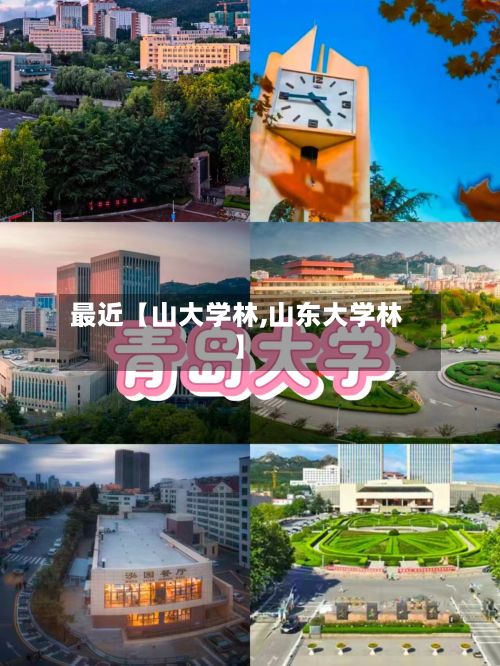 最近【山大学林,山东大学林】