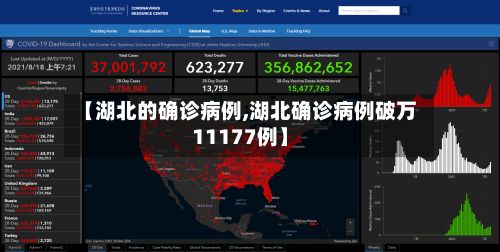 【湖北的确诊病例,湖北确诊病例破万11177例】-第3张图片