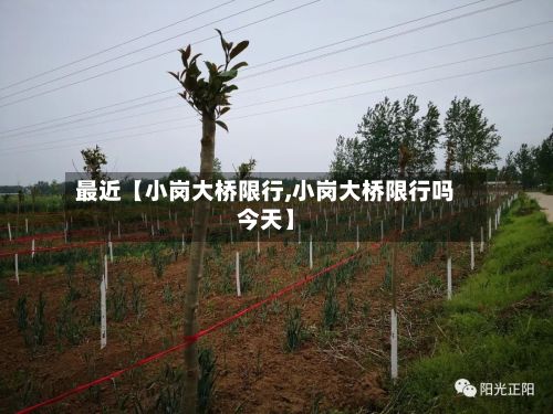 最近【小岗大桥限行,小岗大桥限行吗今天】