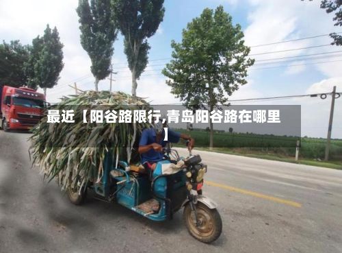 最近【阳谷路限行,青岛阳谷路在哪里】