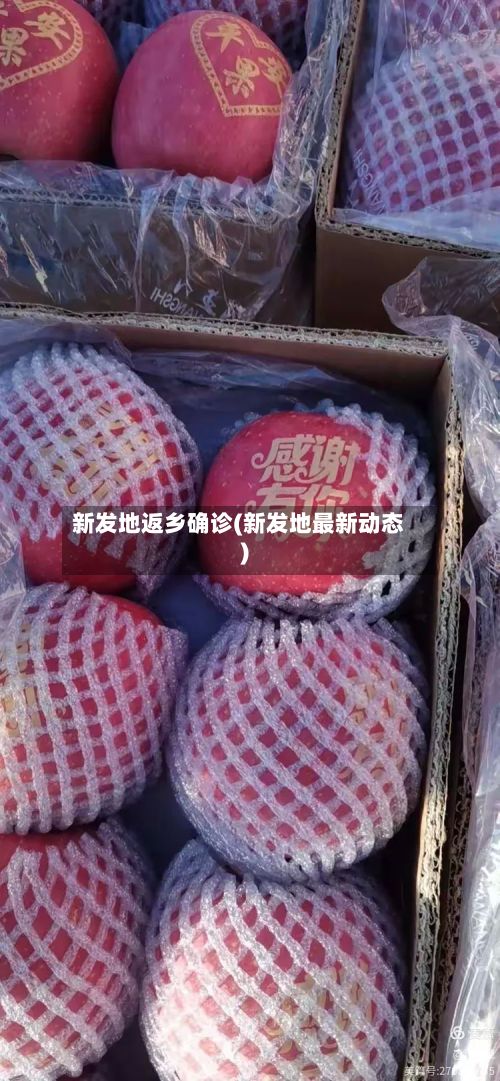 新发地返乡确诊(新发地最新动态)-第3张图片