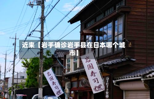 近来【岩手确诊岩手县在日本哪个城市】-第2张图片