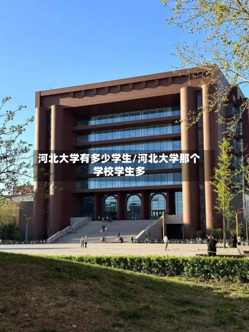 河北大学有多少学生/河北大学那个学校学生多-第2张图片