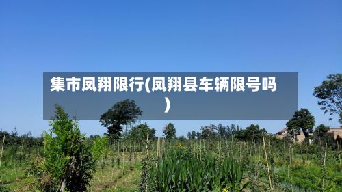 集市凤翔限行(凤翔县车辆限号吗)