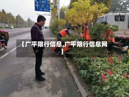 【广平限行信息,广平限行信息网】-第3张图片