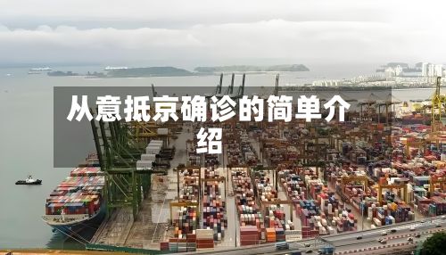 从意抵京确诊的简单介绍