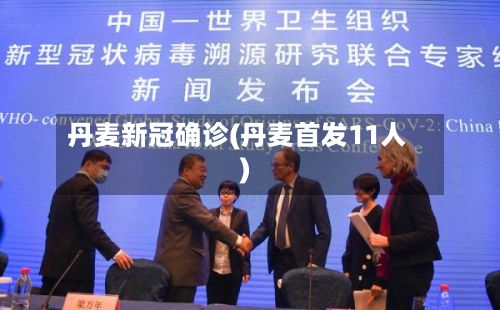 丹麦新冠确诊(丹麦首发11人)-第2张图片