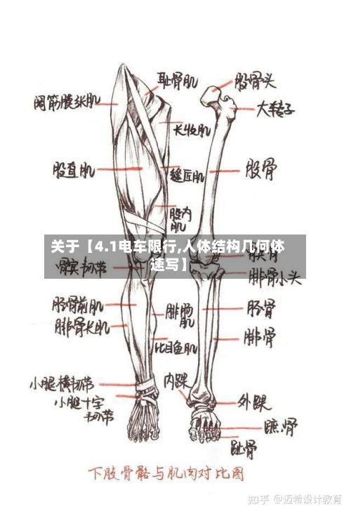 关于【4.1电车限行,人体结构几何体速写】-第2张图片
