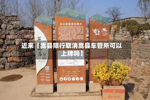近来【嵩县限行取消嵩县车管所可以上牌吗】-第2张图片