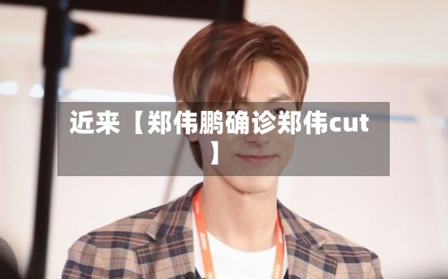 近来【郑伟鹏确诊郑伟cut】-第2张图片