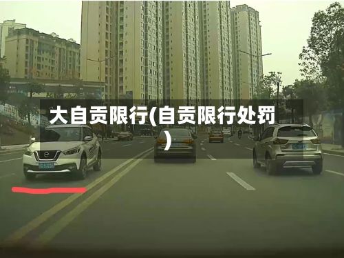 大自贡限行(自贡限行处罚)