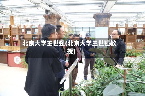北京大学王世强(北京大学王世强教授)-第3张图片