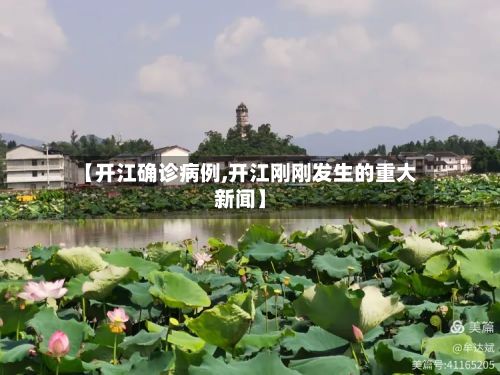 【开江确诊病例,开江刚刚发生的重大新闻】-第2张图片