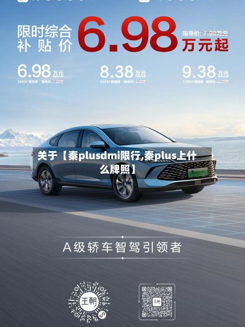 关于【秦plusdmi限行,秦plus上什么牌照】-第3张图片