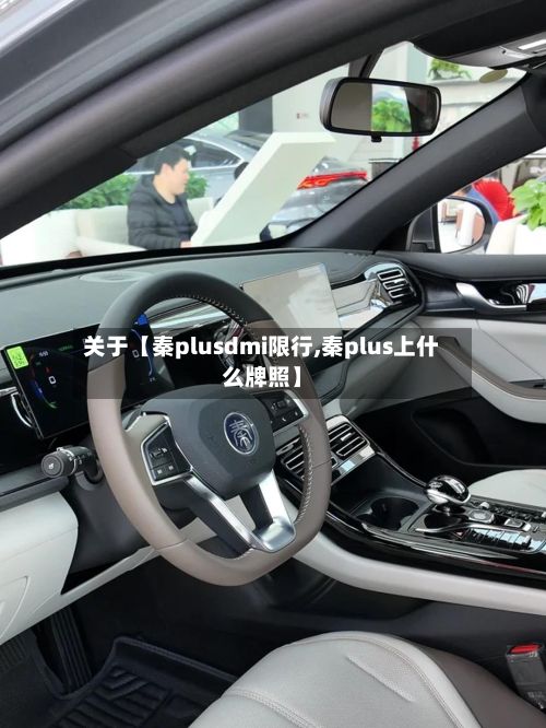 关于【秦plusdmi限行,秦plus上什么牌照】