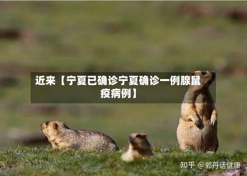 近来【宁夏已确诊宁夏确诊一例腺鼠疫病例】-第2张图片