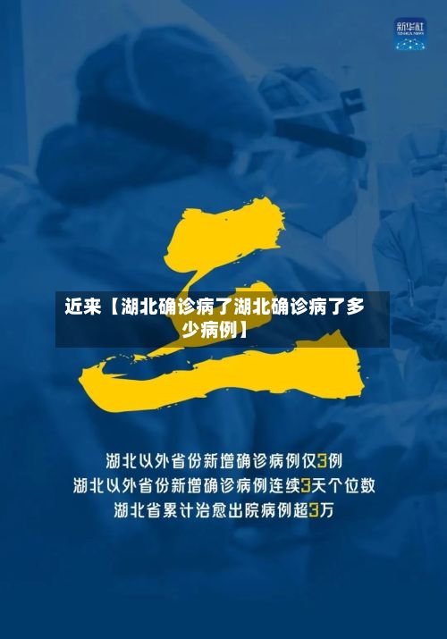 近来【湖北确诊病了湖北确诊病了多少病例】-第2张图片