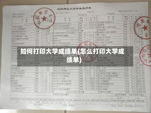 如何打印大学成绩单(怎么打印大学成绩单)-第2张图片