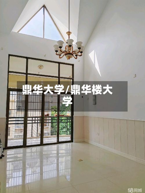 鼎华大学/鼎华楼大学