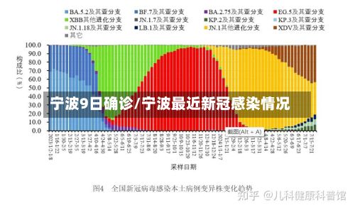 宁波9日确诊/宁波最近新冠感染情况-第2张图片