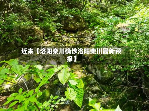 近来【洛阳栾川确诊洛阳栾川最新预报】