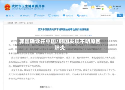 韩国确诊开中国/韩国发现不明原因肺炎-第3张图片