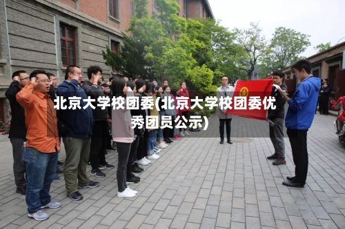 北京大学校团委(北京大学校团委优秀团员公示)