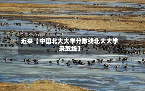 近来【中国北大大学分数线北大大学录取线】