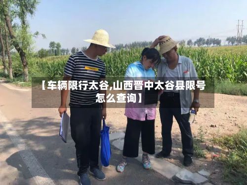 【车辆限行太谷,山西晋中太谷县限号怎么查询】-第3张图片