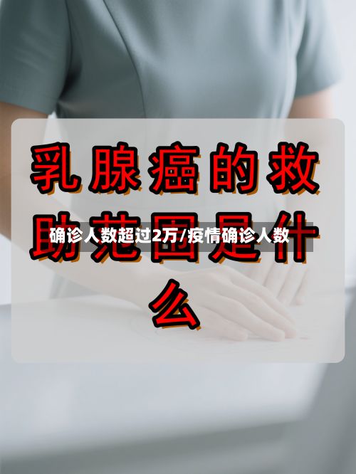 确诊人数超过2万/疫情确诊人数-第2张图片