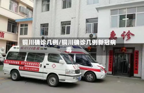 铜川确诊几例/铜川确诊几例新冠病毒-第3张图片
