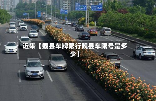 近来【魏县车牌限行魏县车限号是多少】-第2张图片