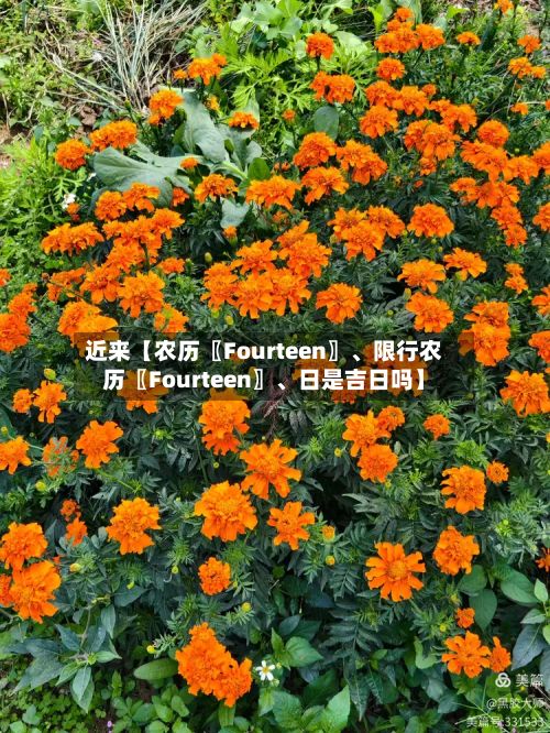 近来【农历〖Fourteen〗	、限行农历〖Fourteen〗、日是吉日吗】-第3张图片