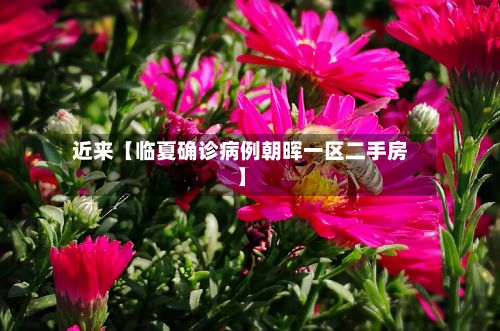 近来【临夏确诊病例朝晖一区二手房】