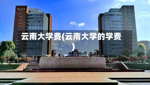 云南大学费(云南大学的学费)-第2张图片