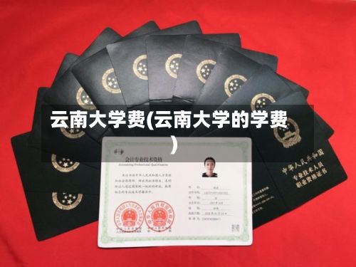 云南大学费(云南大学的学费)-第3张图片
