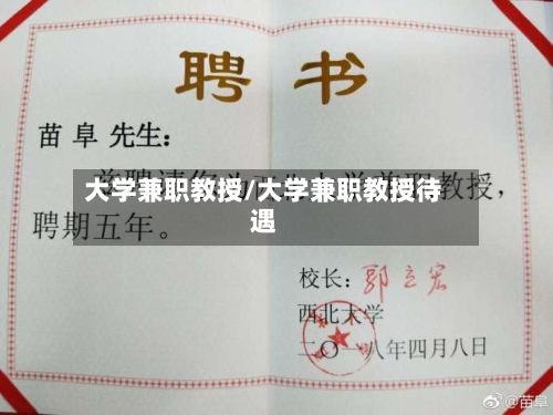 大学兼职教授/大学兼职教授待遇