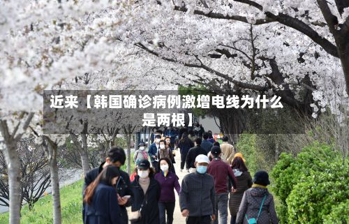 近来【韩国确诊病例激增电线为什么是两根】-第2张图片