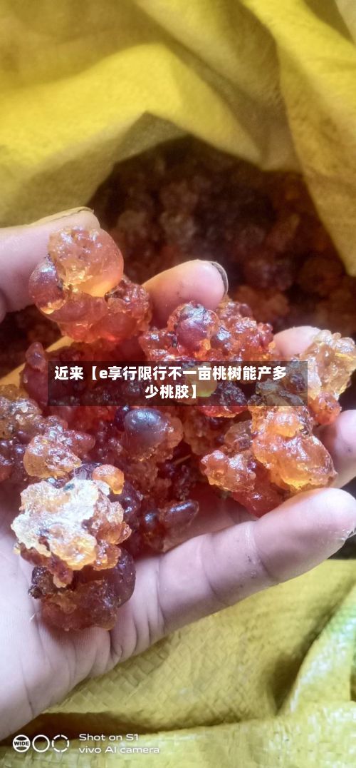 近来【e享行限行不一亩桃树能产多少桃胶】-第2张图片