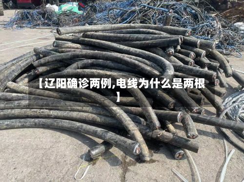【辽阳确诊两例,电线为什么是两根】-第2张图片