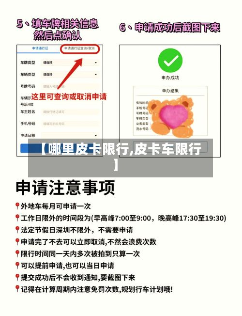【哪里皮卡限行,皮卡车限行】-第3张图片